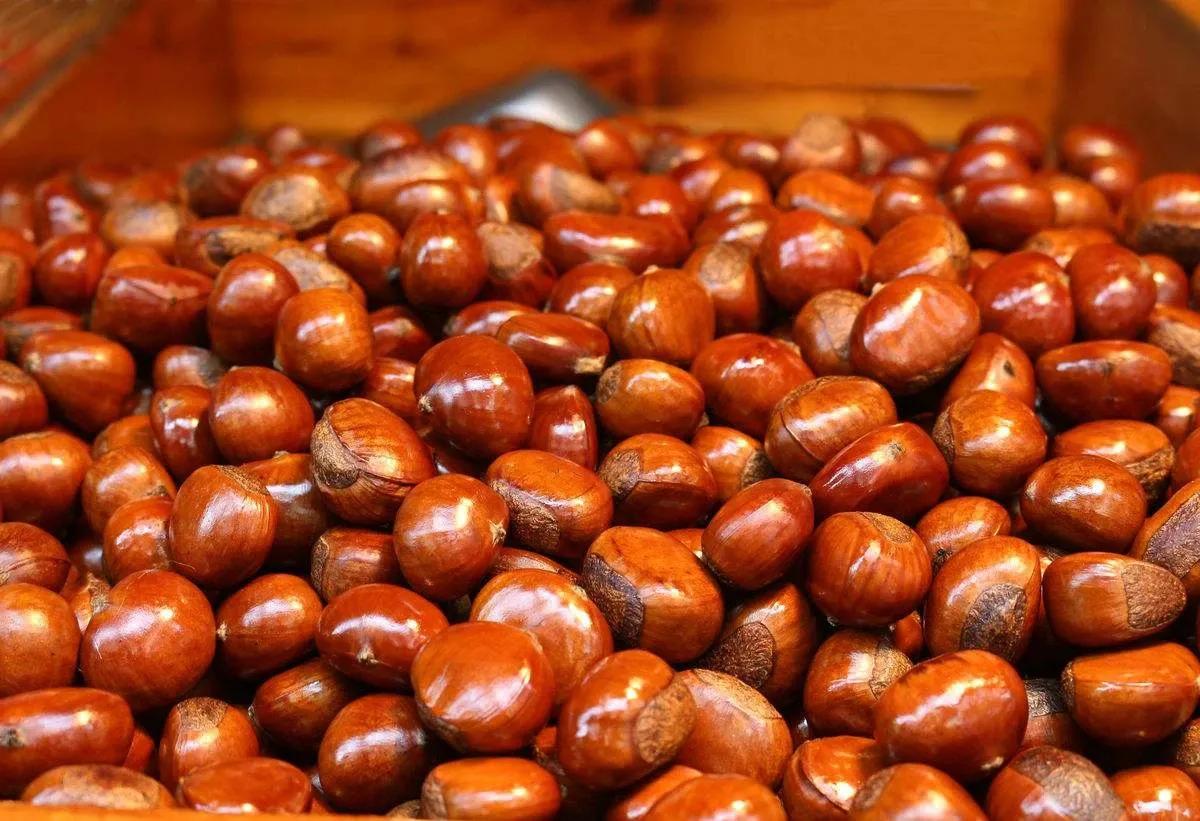 每一口都是回忆！北京秋冬十五样经典美食，看看有没有你的最爱
