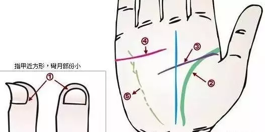 24种手诊图，堪比X光线，揭示你的身心健康