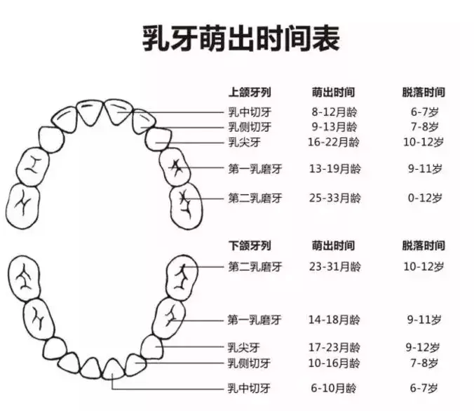 宝宝出牙晚就要补钙？听听医生怎么说