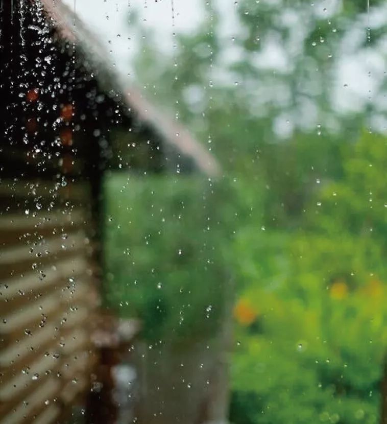 雨打芭蕉夜，坐窗听雨眠