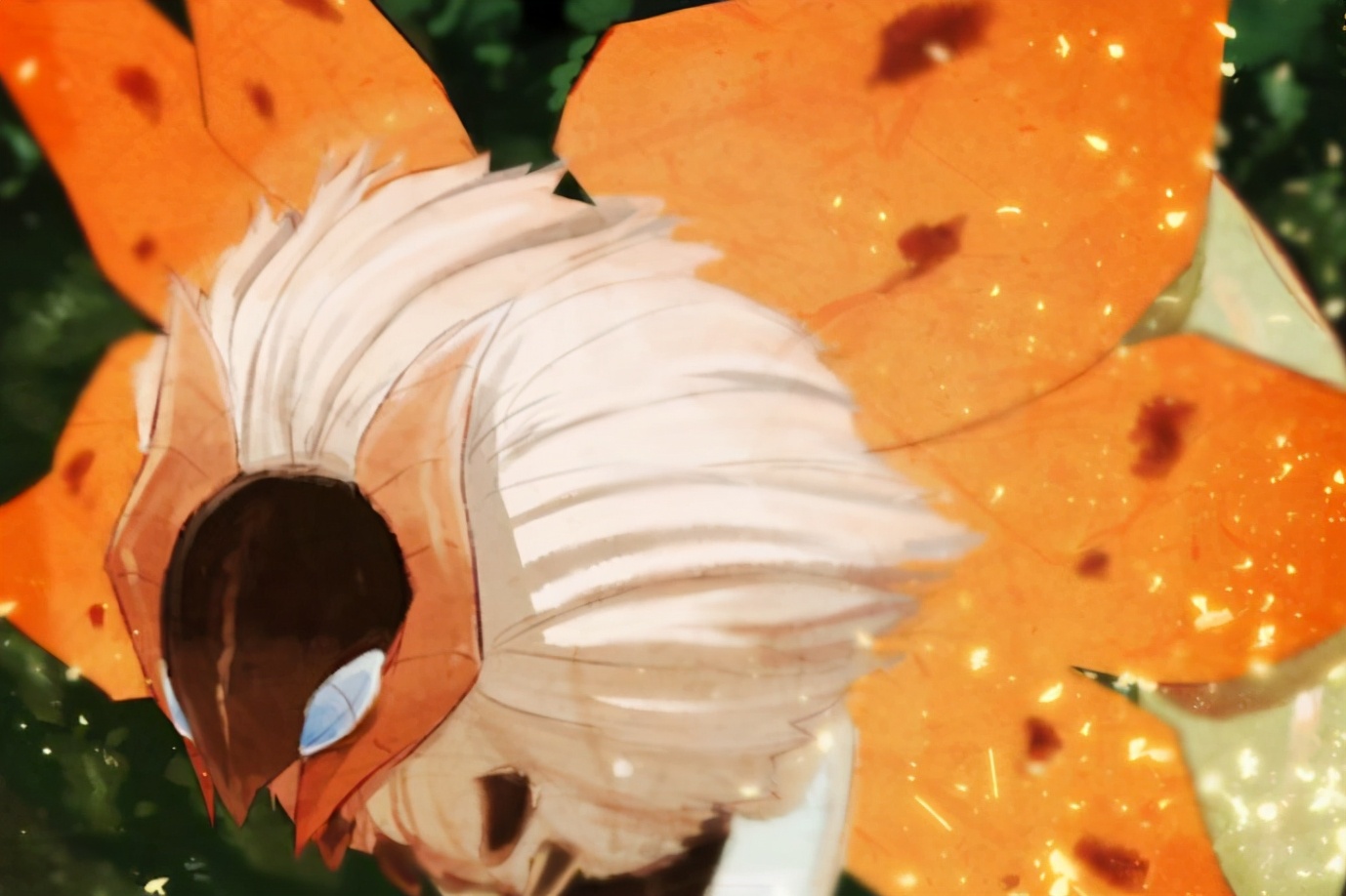 宝可梦火神蛾种族值一览(火神蛾双打配招推荐)