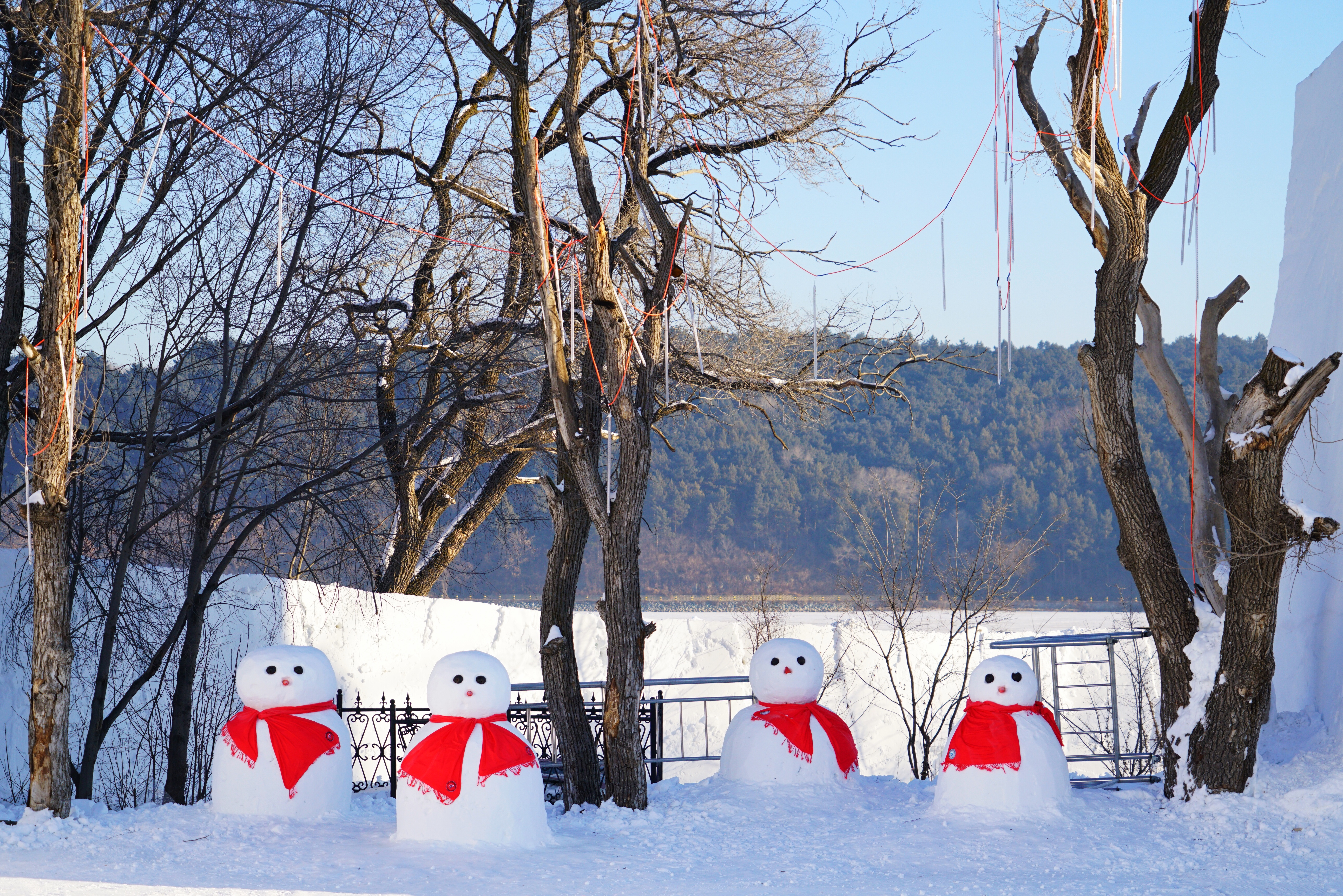 想去东北看雪哪个地方更好(冬季到哪里去看雪？追寻中国最美的雪国仙境)