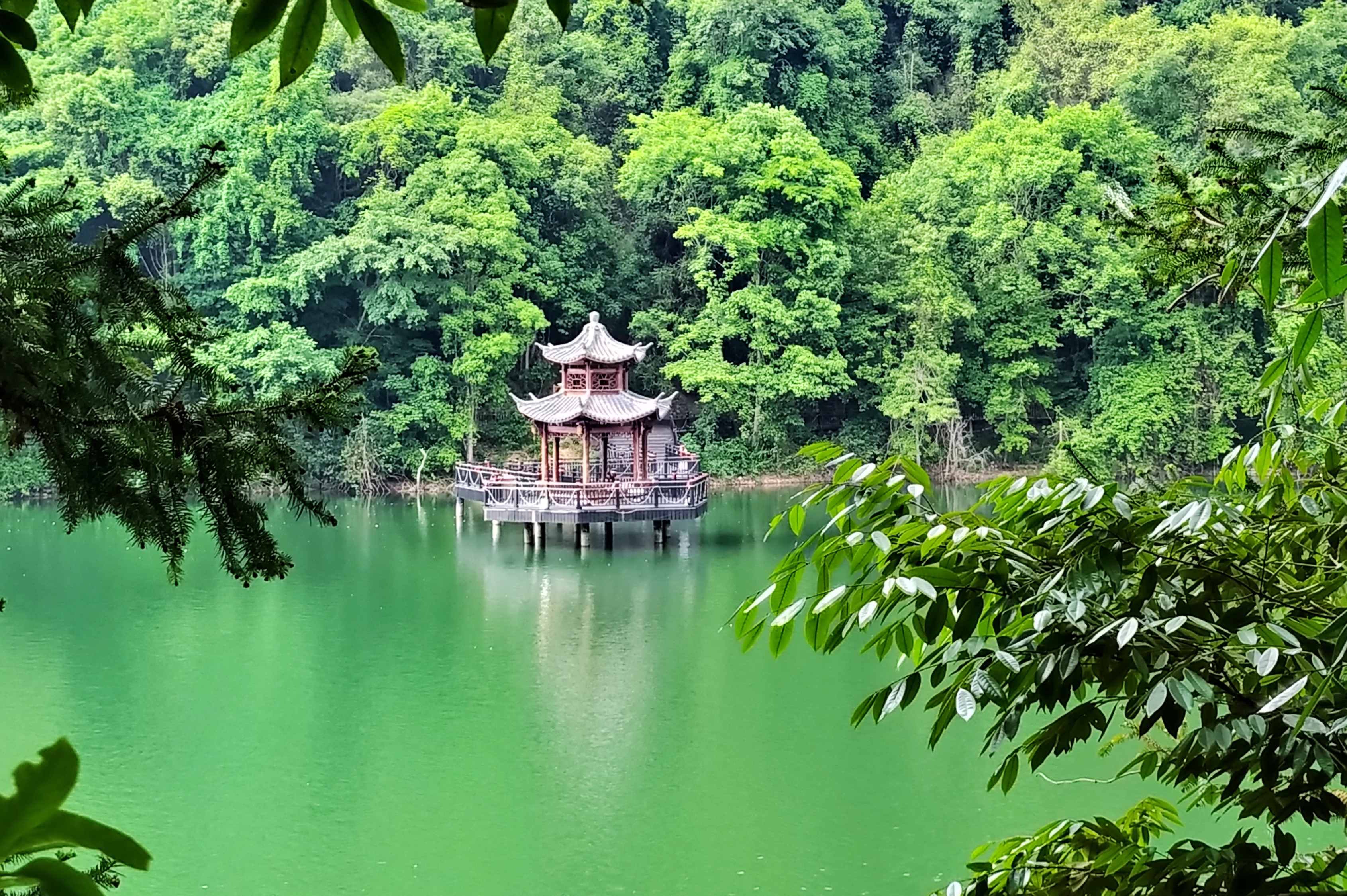 崇义阳明山是一个自驾游的好地方)