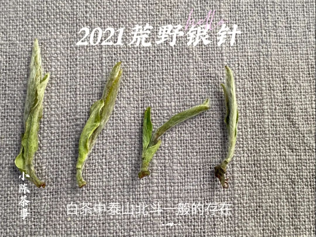 从白毫银针、白牡丹、寿眉，新茶友第一次买白茶有什么推荐吗？