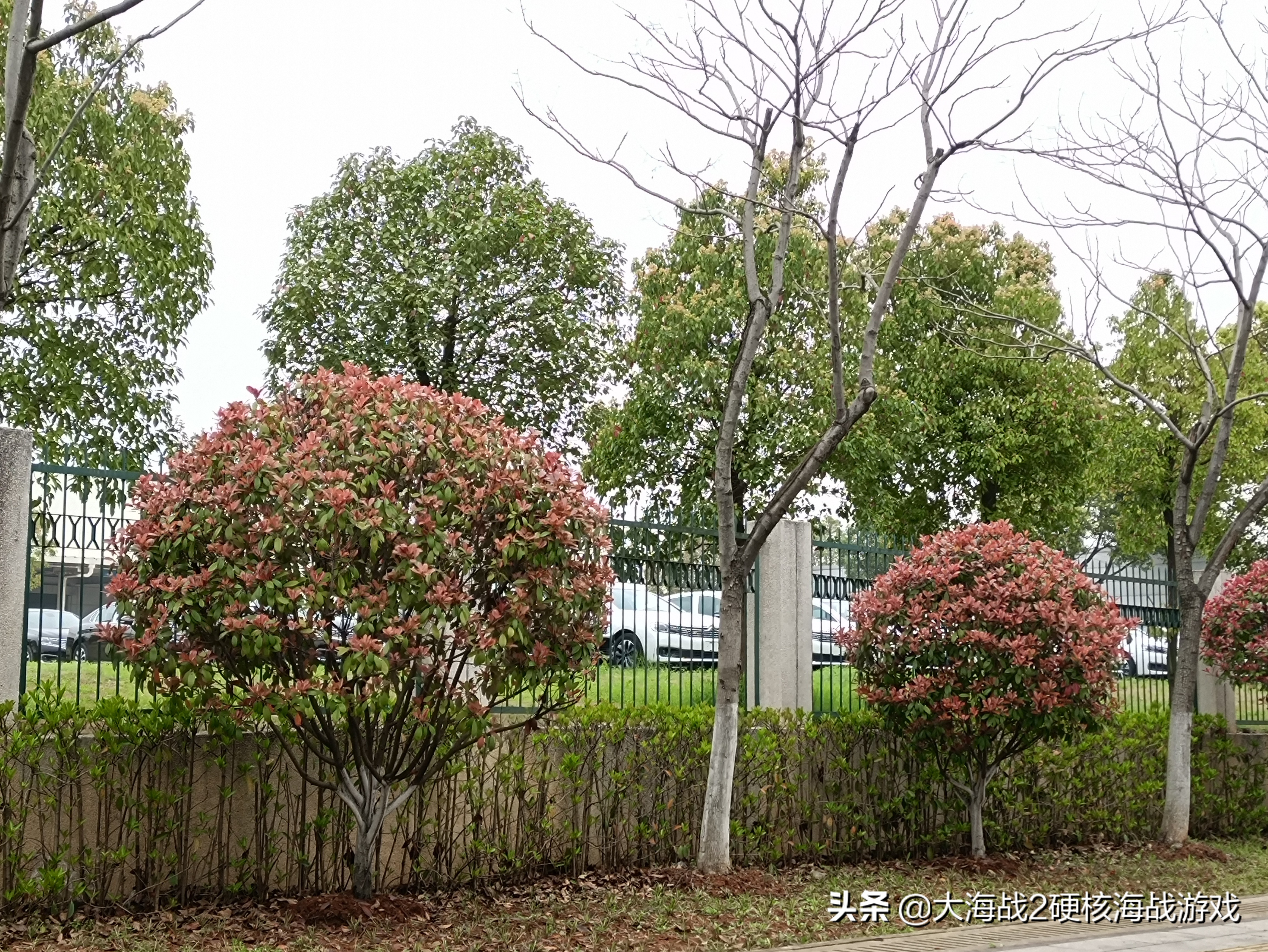 车主主动探访神龙汽车武汉生产线，看神龙的改变！PSA标致雪铁龙