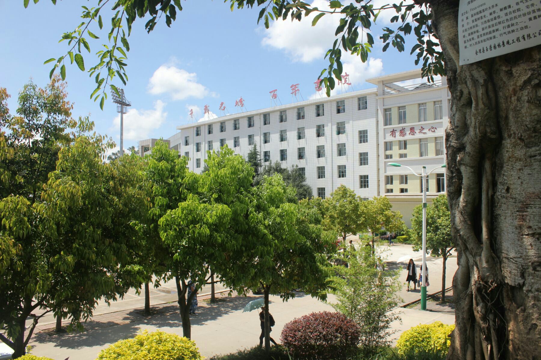 超级中学锦上添花，县中正在雪中送炭，我为黄梅一中这类县中点赞