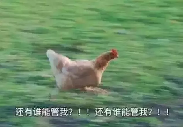 我听过最大的谎言就是：“等你上了大学，就可以好好玩了。”