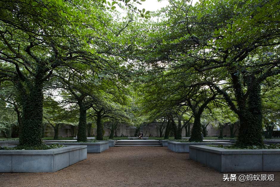 美国景观大师丹·克雷的设计哲学