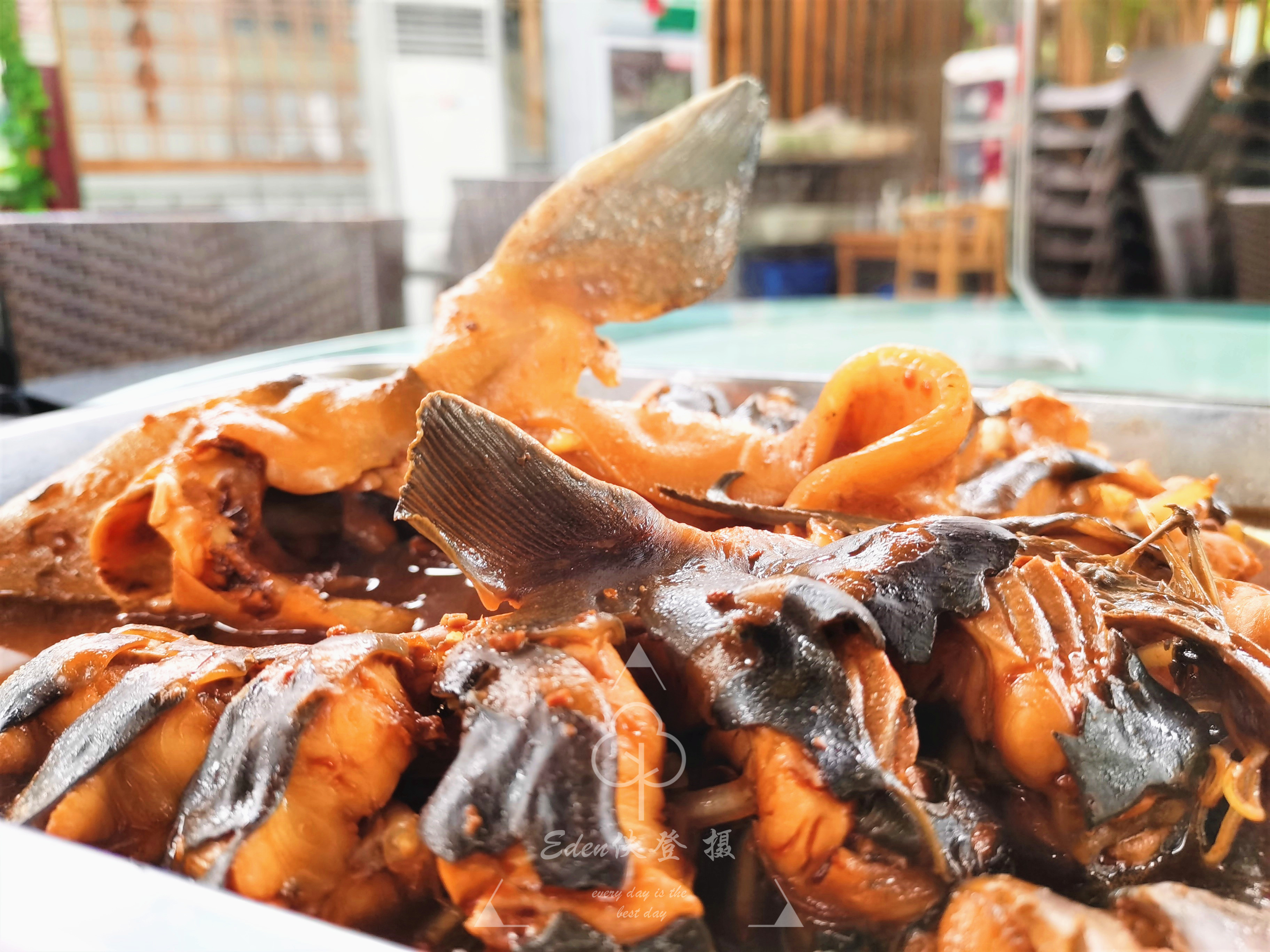 一道垮炖鱼,半部密云史,北京人挥之不去的水库鱼情结