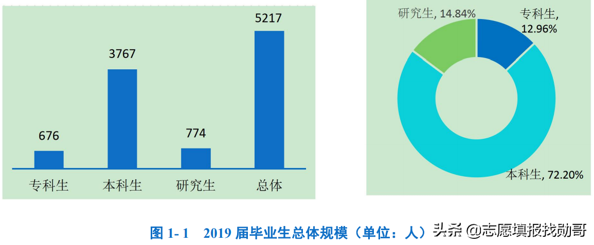 超值双非大学，培养工程师的领头羊：上海工程技术大学