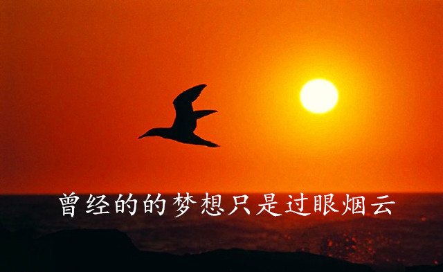 人这一辈子，酒后感言！