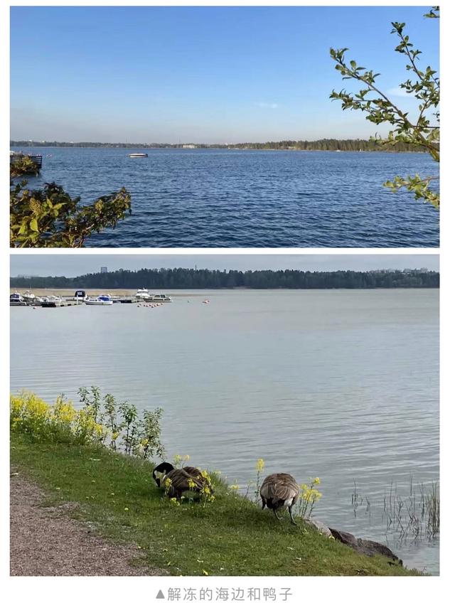 「我在芬兰」第20集-Elvi-全额奖学金！在阿尔托大学的留学生活