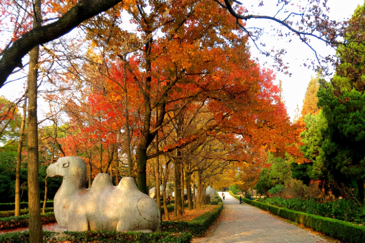 南京正是赏秋“好时节”，栖霞山美得不像话，这份旅游攻略要收好