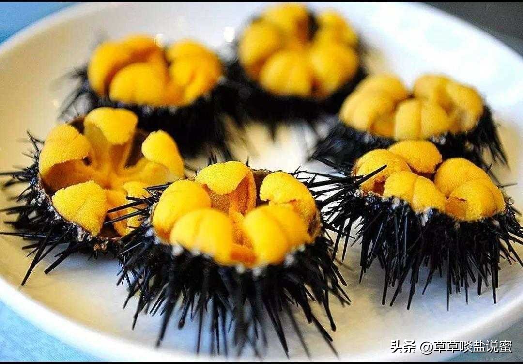 在家轻松做海胆蒸蛋，鲜美营养又简单