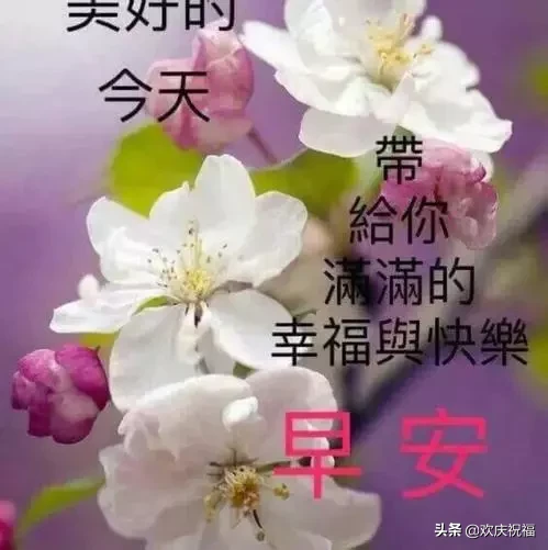 学习向日葵，做一个积极吸收正能量的人，早安