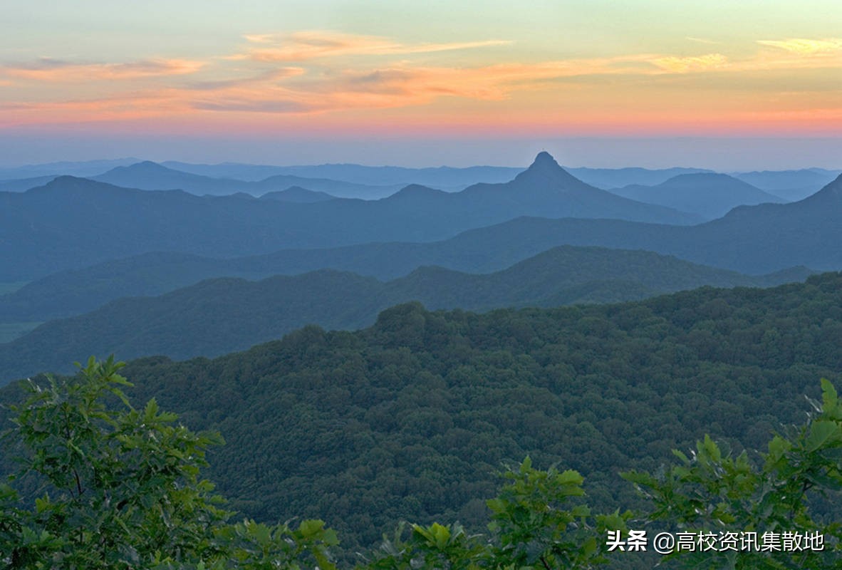 王牌专业就业率竟然最低！探寻东北林业高校的翘楚