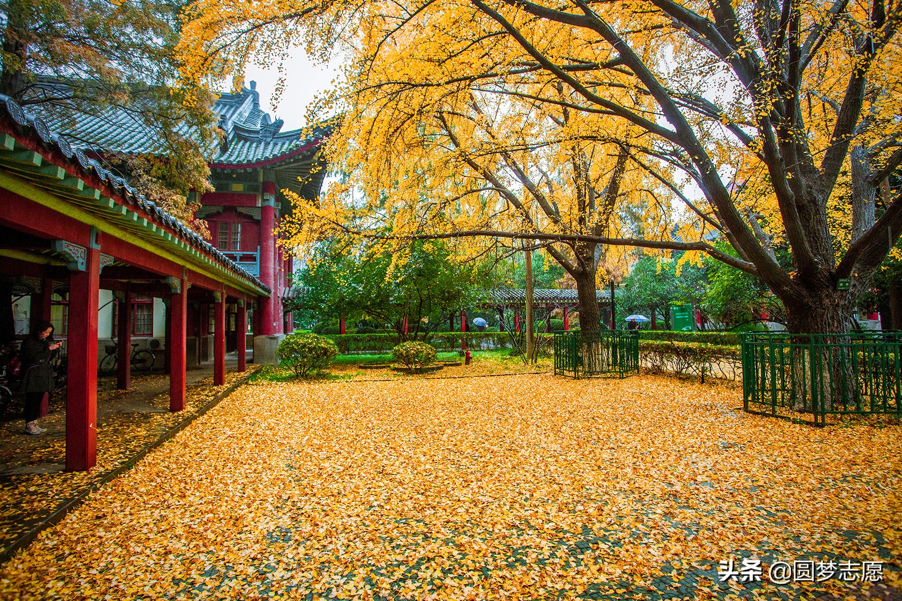 600分能上的师范类大学，值得2020高考生收藏