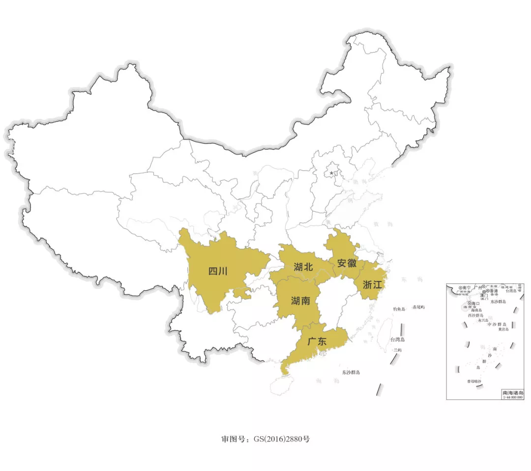 一篇文章看完中国名茶