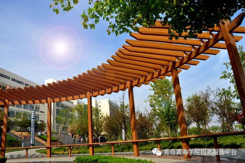 「教育看山东」青岛黄海学院