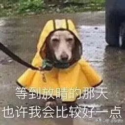 又又又下雨了！雨天后视镜很模糊怎么破？车神教你四个妙招