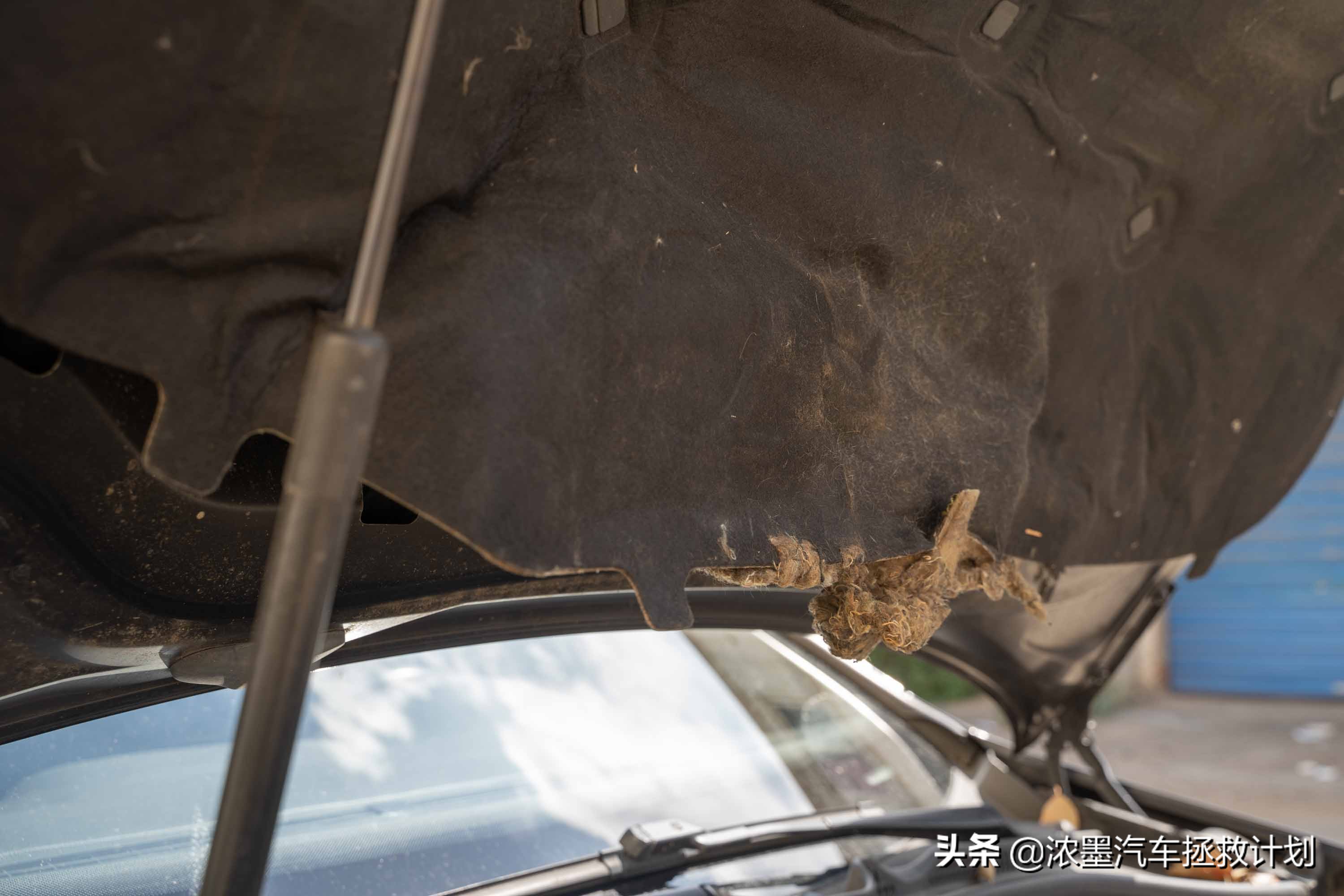 「澎湃驾控」修复一台六代高尔夫GTI，偏爱加持下的快意御风少年