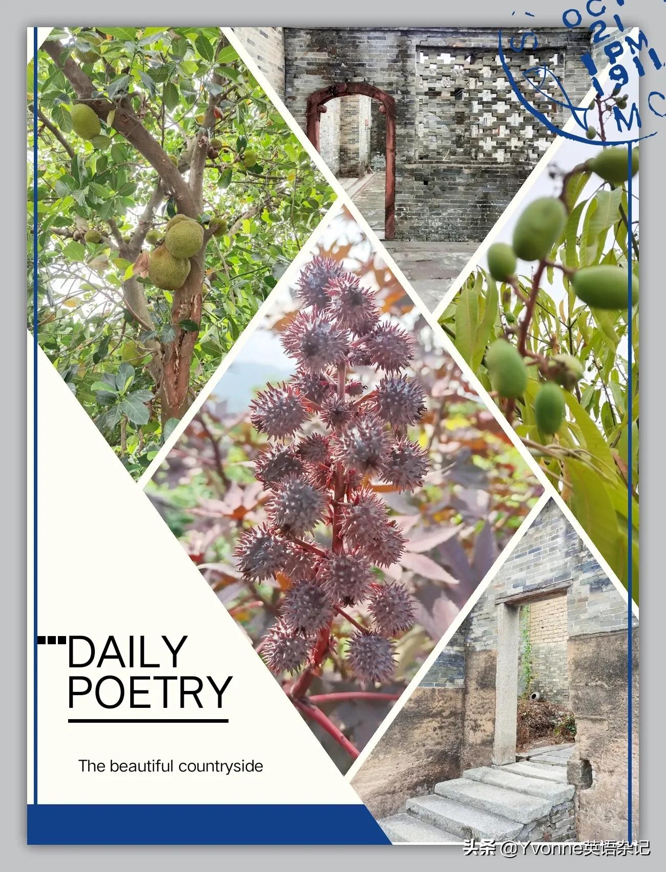 几步教你搞定英语作文“周末计划Weekend plan”