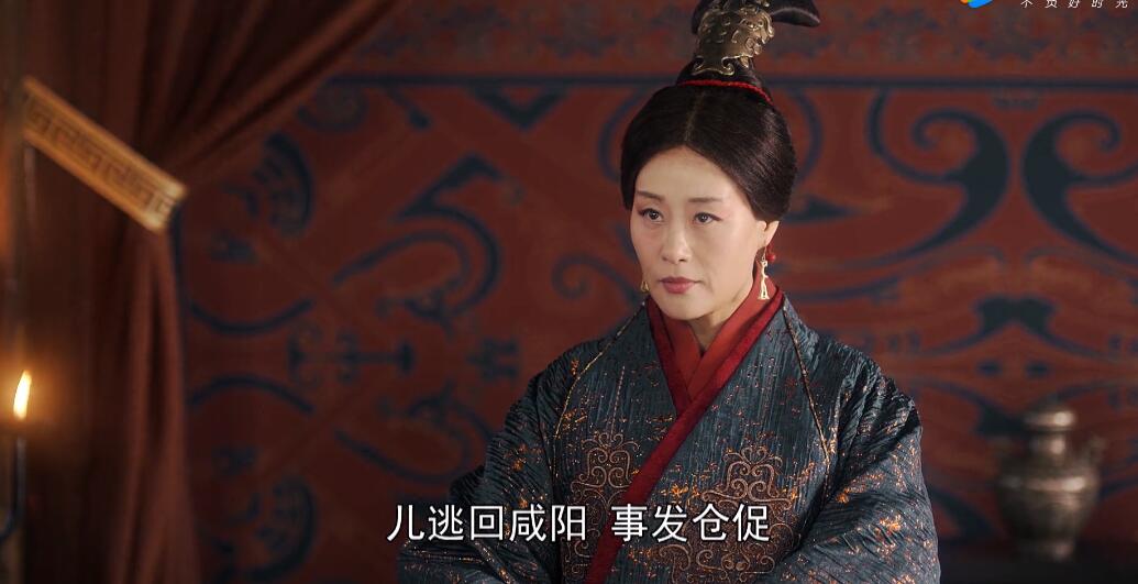 大秦赋华阳夫人扮演者是谁 大秦赋安国君扮演者是谁