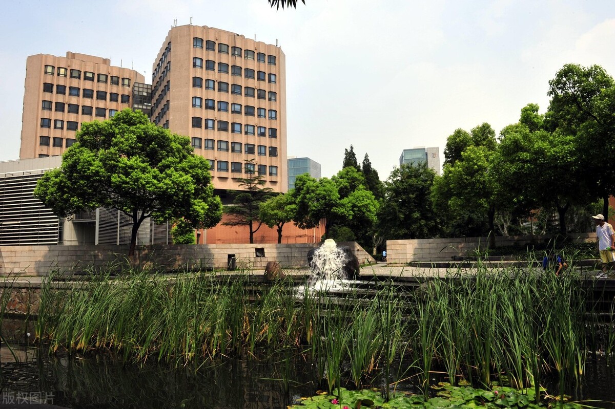 艺术类录取数据分析同济大学or武汉大学，你认为差距有多大？