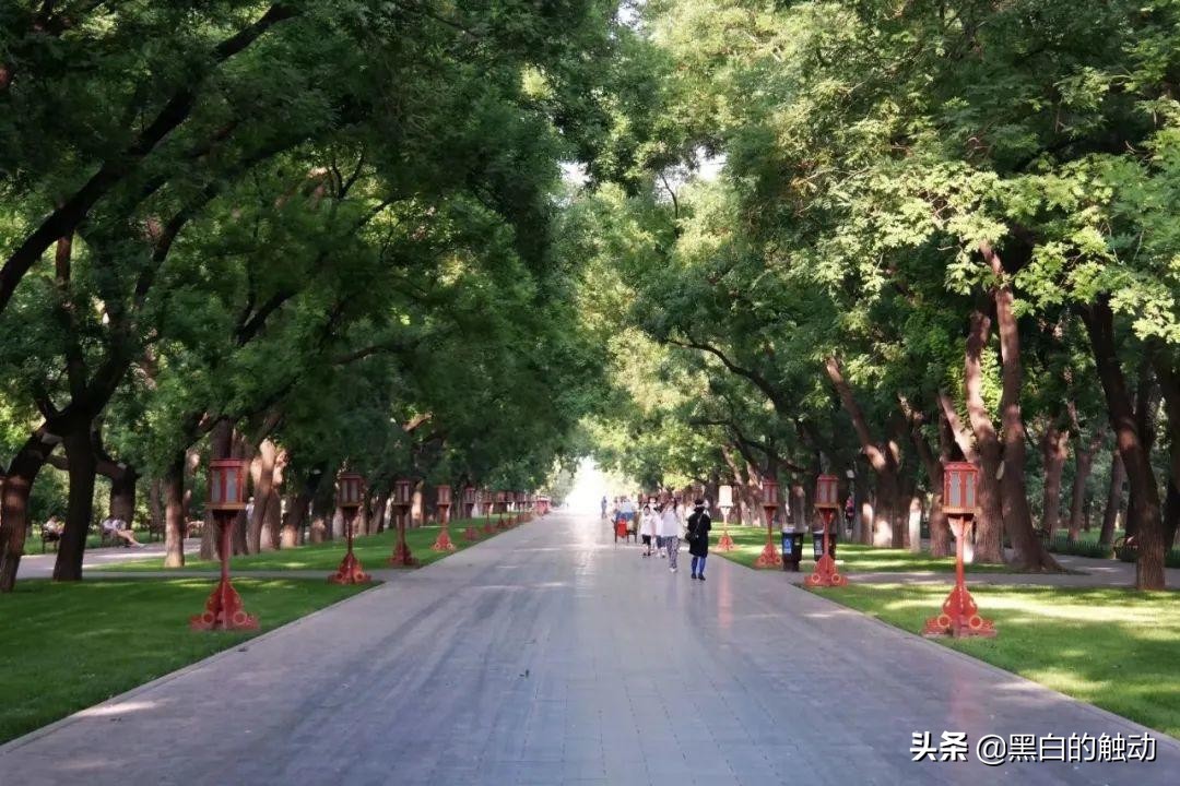 长城、胡同、故宫、鸟巢，北京那些不可错过的名胜古迹