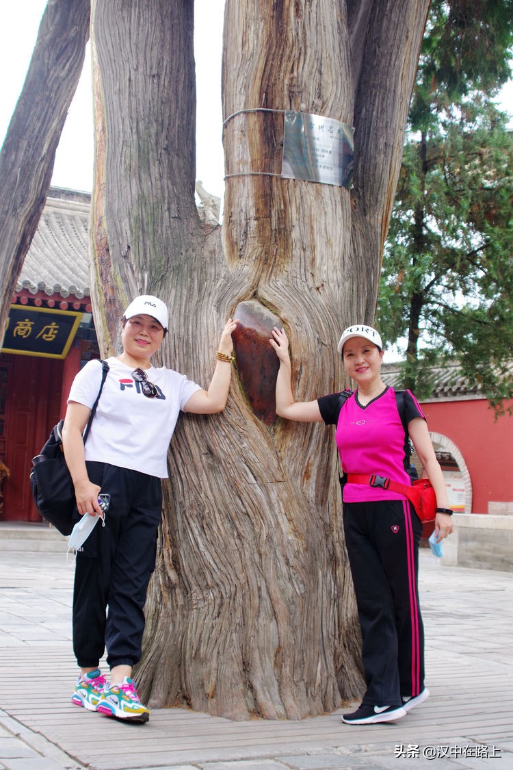 七月旅游季，汉中人甘南六日游趣味游记已上线