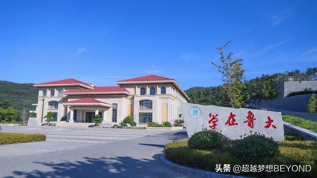 鲁东大学2020年山东省本科各专业录取分数统计（含排位）