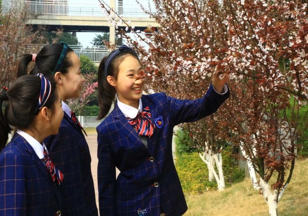 在绵阳，有一种教育叫“富乐”！富乐国际学校已成教育新贵