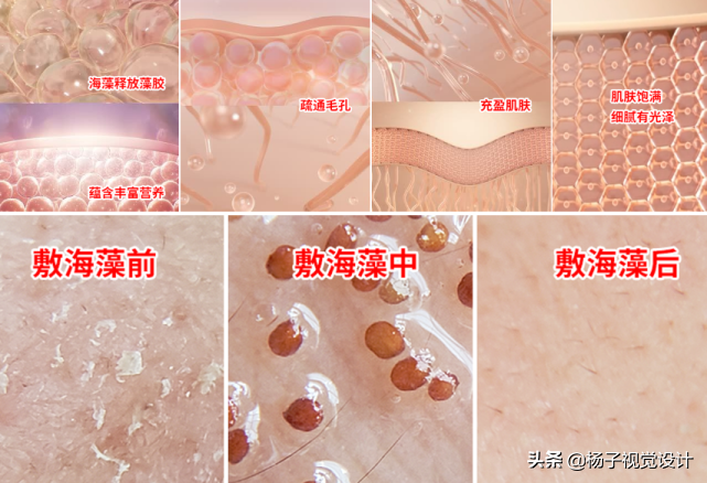海藻籽面膜的功效與作用機理，什么品牌的海藻面膜好？（配圖）