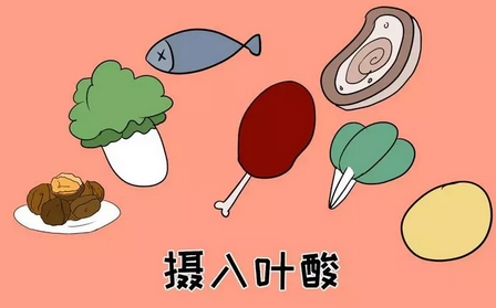 叶酸正确服用方法指南：简单维生素如何科学补充才最有效