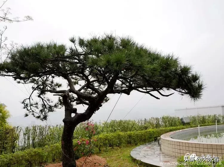 美哉！我们的永春三中