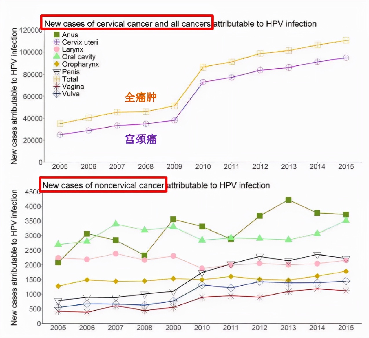 派特灵生物分享《全球和中国HPV感染性疾病的现状和负担》