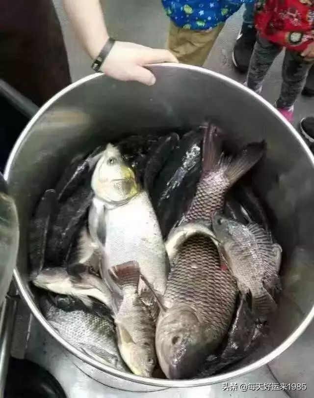 在广州的大学有哪些？各有什么特点和趣闻？