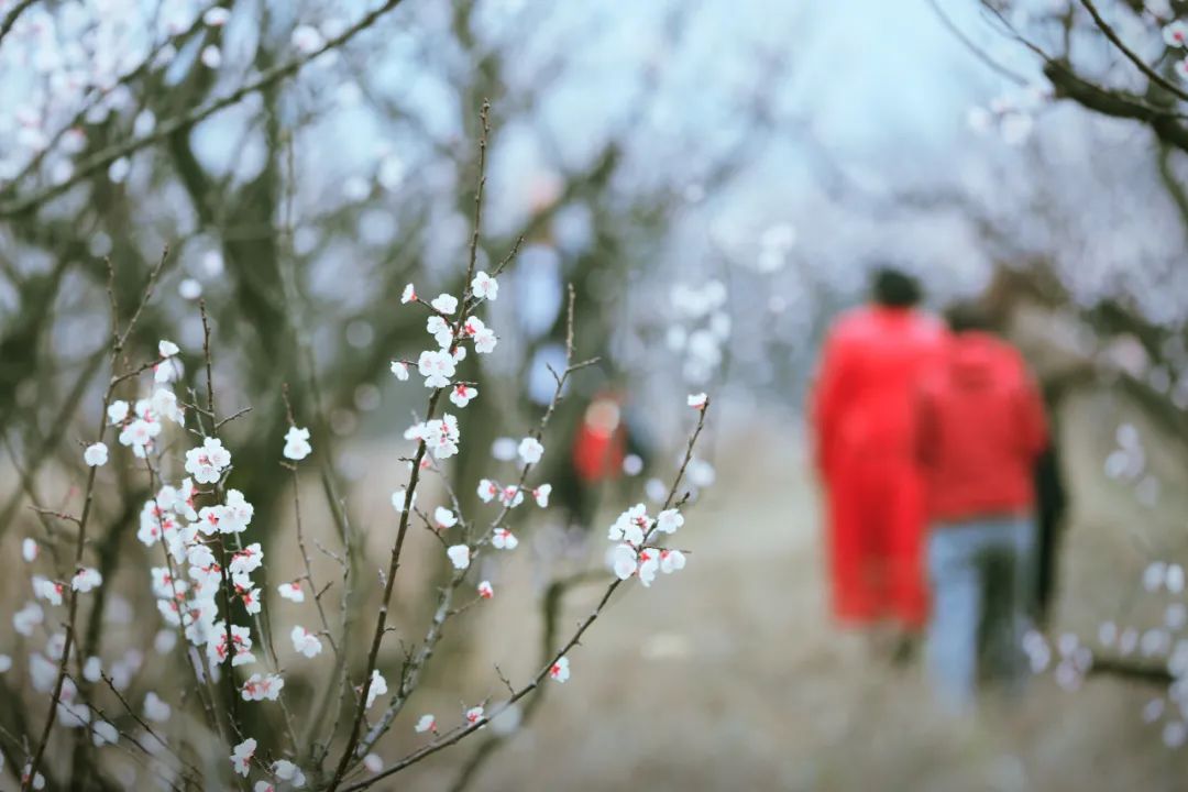 苏轼游历在外，想念妻子，写下一首单相思词，开头就是情话经典