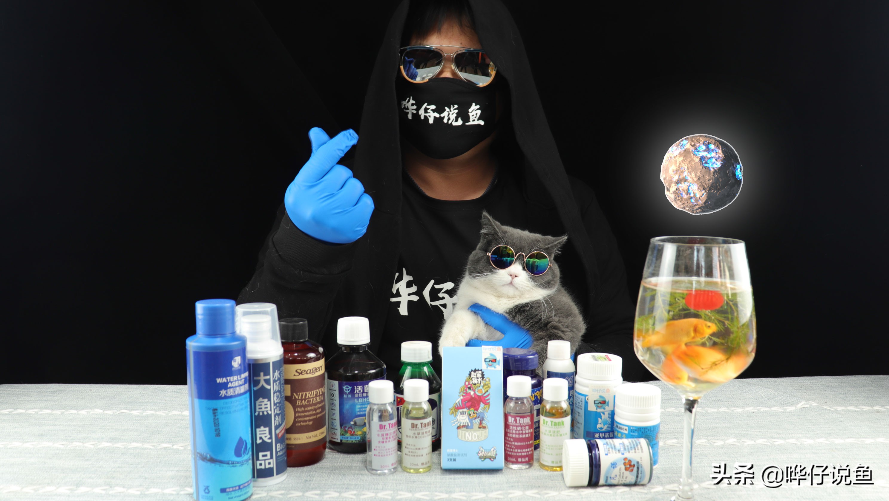 养鱼大神炼成记第三集：一条鱼病了，凭啥让全缸鱼跟着一起吃药？