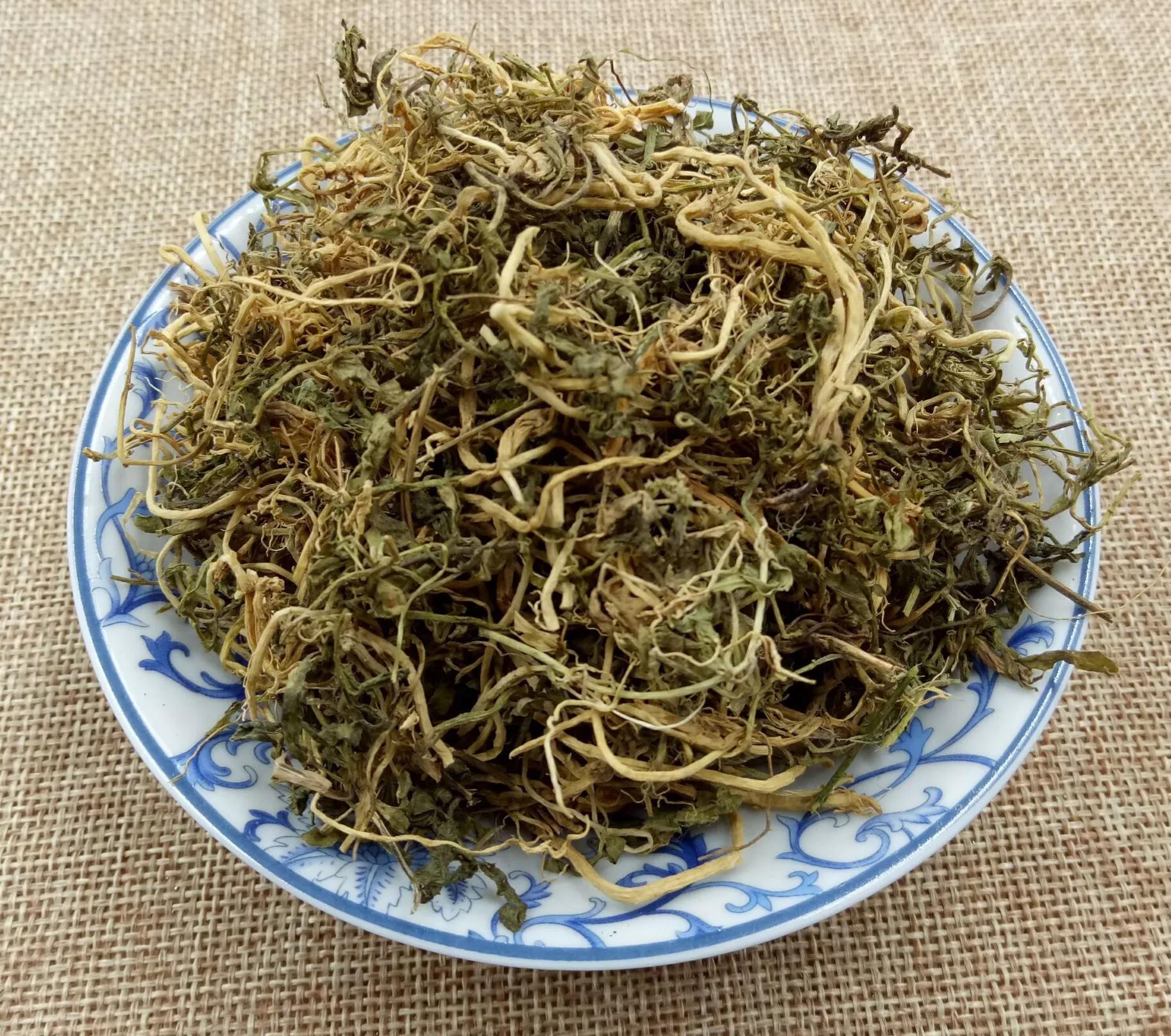 半边莲图片半边莲的功效与作用