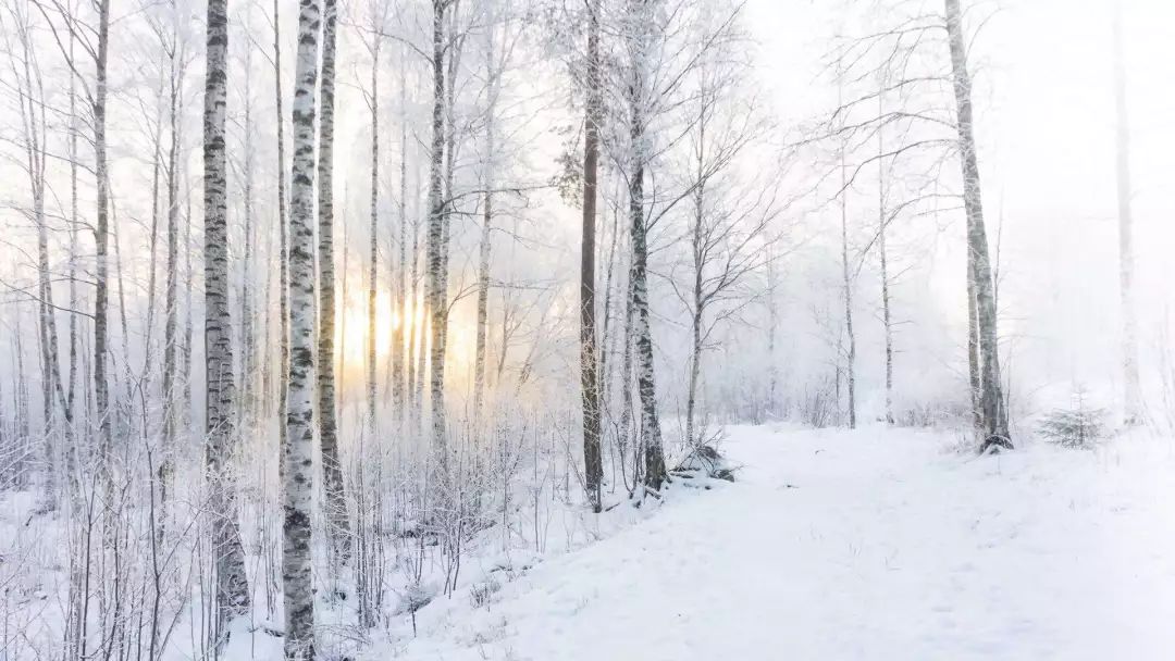 大雪诗词 | 带你走进唐诗宋词里的最美雪景！