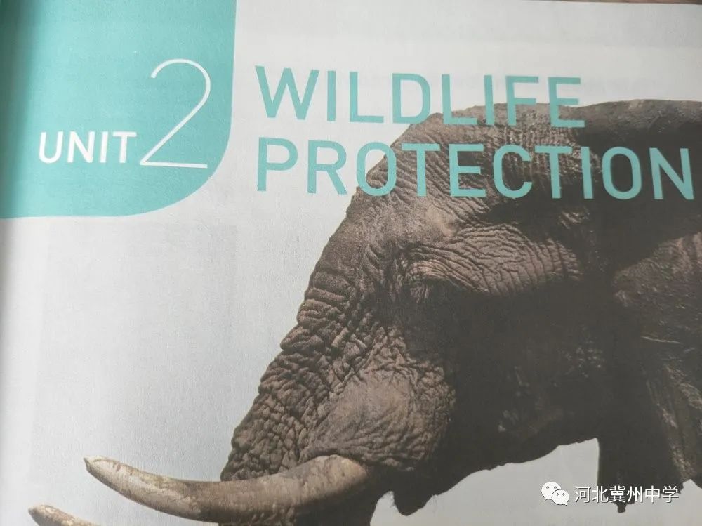 六年级英语俱乐部海报（高一英语组举办创意海报设计活动）-华海博客