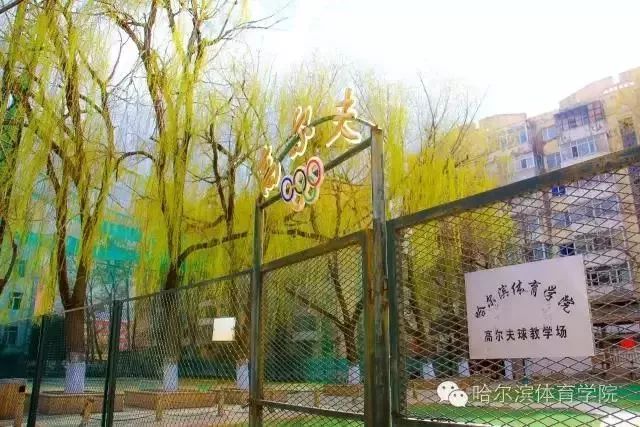 哈尔滨商业大学篮球馆电话(@大成街1号：哈尔滨体育学院，致我们最好的青春)