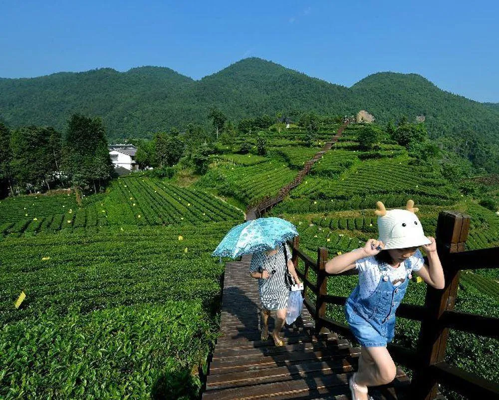 深度解读地理标志
