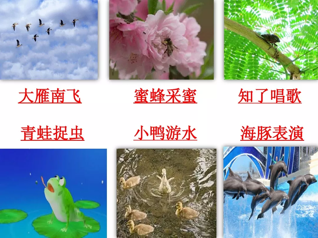 蜻蜓的蜻组词,蜻蜓的蜻组词两个字