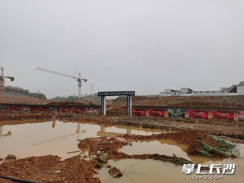 长沙“东雅”要来了，就在这个位置！长沙今年还将新扩建25所中小学