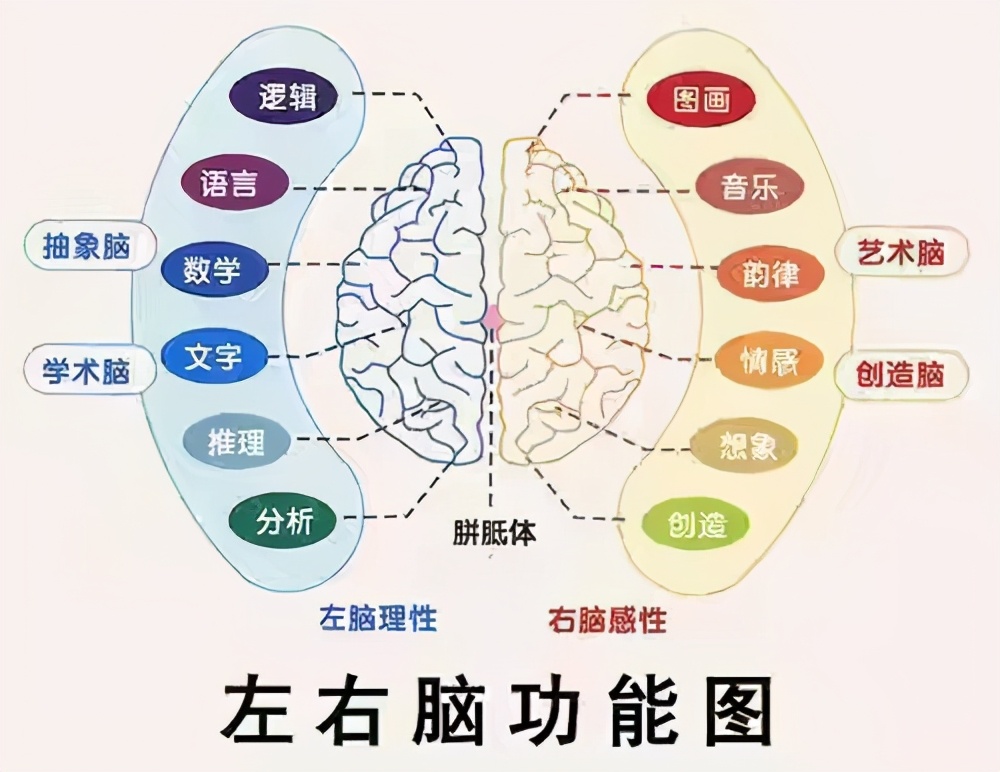 iq是什么意思