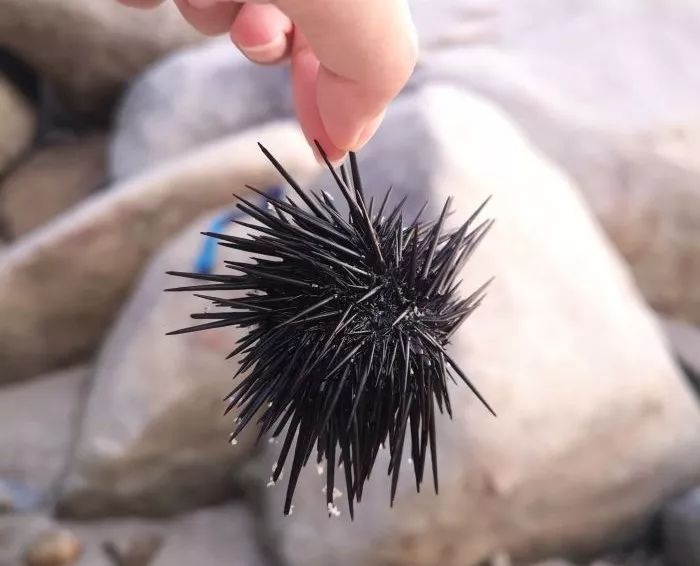 深圳海边游，你去过几个？深圳还有这些景美人少的海滩等你来打卡