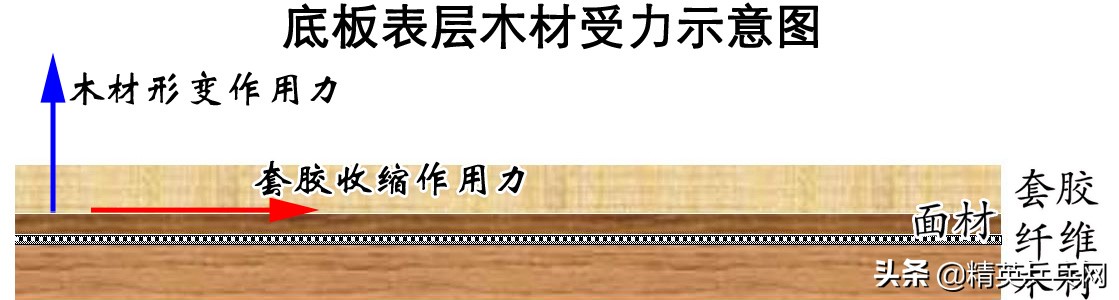 乒乓球裂了怎样修复(「教你一招」打球之后这么做，底板永远不开裂)