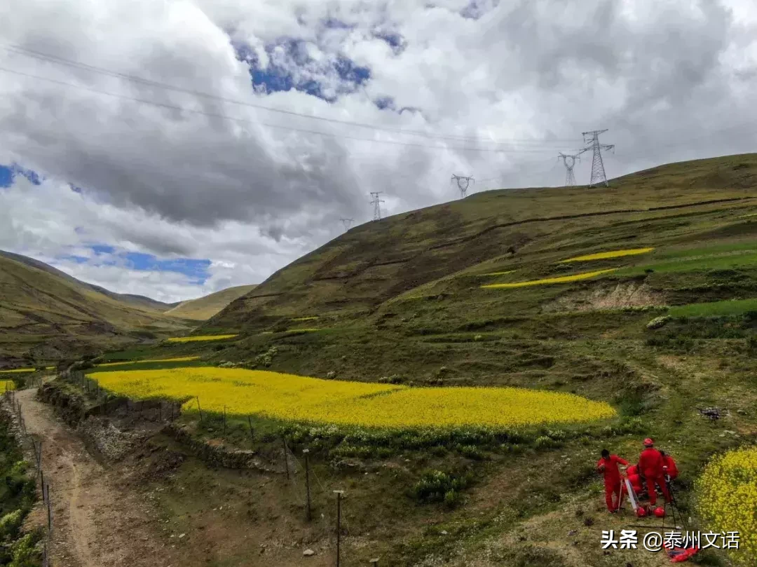 全国首次！泰州无人机智能巡检西藏“电力天路”